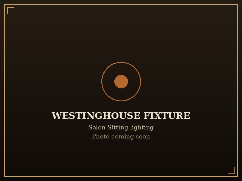 Placeholder — photo of the Salon Sitting's Westinghouse industrial lighting fixture coming soon.